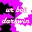 urboidarkwin